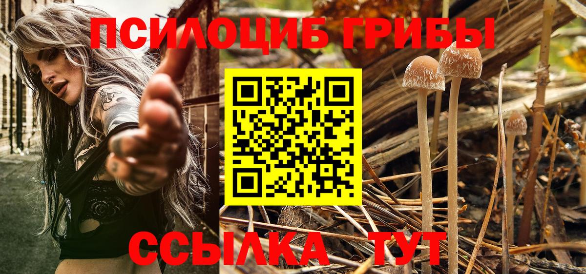 дарнет шоп  Псилоцибиновые грибы Psilocybe  Вход с VPN  Ржев 